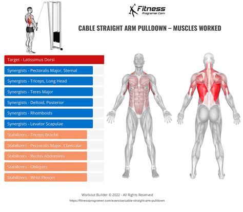 How To Do Cable Straight Arm Pulldown Muscles Worked