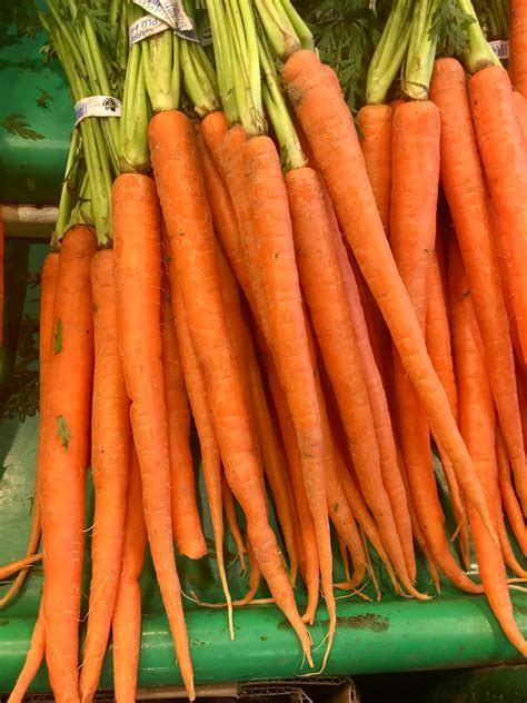 Free Stock Photo Of Carrots Fresh Carrots