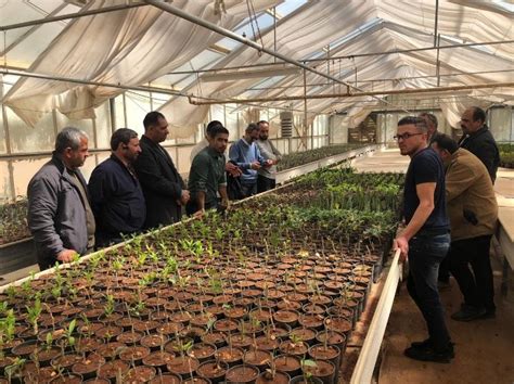 Agriculture Nursery Management Training In Faisal Nursery In Jerash