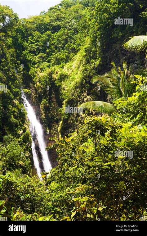 Wasserfall In Einem Wald Papeete Tahiti Französisch Polynesien