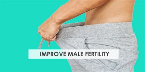 9 Ways To Improve Male Fertility To Get Pregnant Quickly Stork Mama