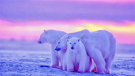 Polar Bear Under The Water Wallpaper Backiee