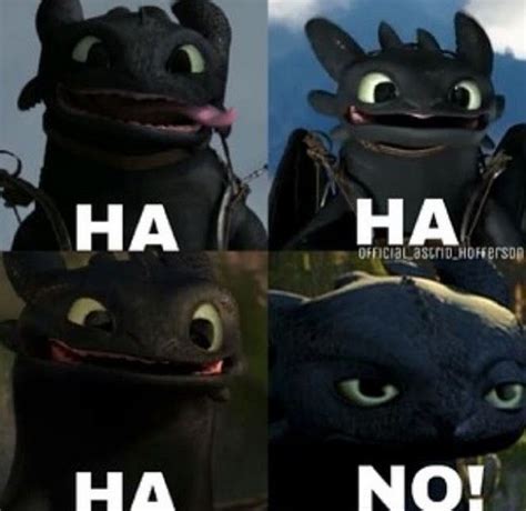 Pin By Kennedyalexisrae On Dragons 1 And 2 How Train Your Dragon How