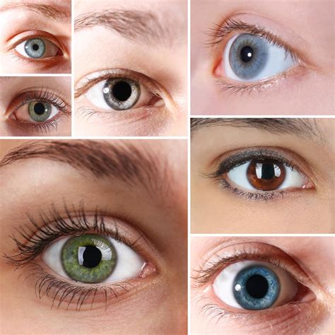 Color De Ojos Active Vision Center