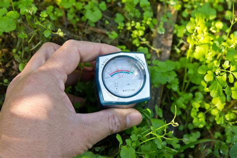 The content of a book, movie, or song is the first has to do with being pleased and satisfied (feeling content) or making someone else feel happy and at. Checking For Soil Moisture Content - How To Measure Soil ...