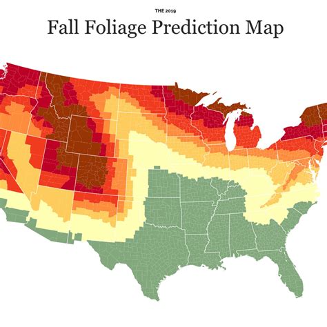 Fall Foliage Smoky Mountains 2020
