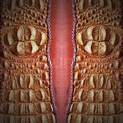 Crocodile Skin Stock Image Colourbox