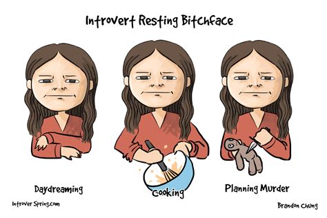 The Introvert Resting B Tch Face Introvert Spring
