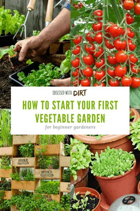 Vegetable Gardening For Beginners How To Plan Your First Patch