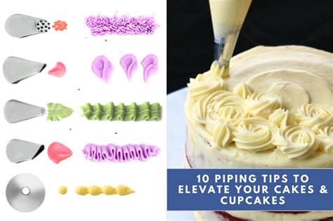 10 Must Have Wilton Piping Tips And Whenhow To Use Them Bakestarters