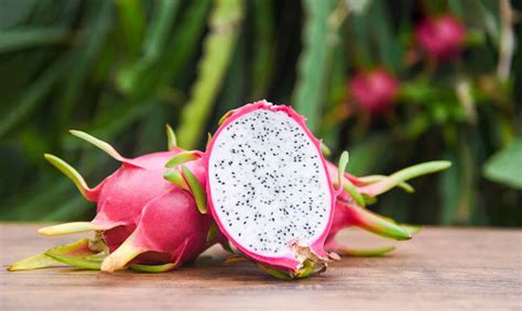 Dragon Fruit Photo