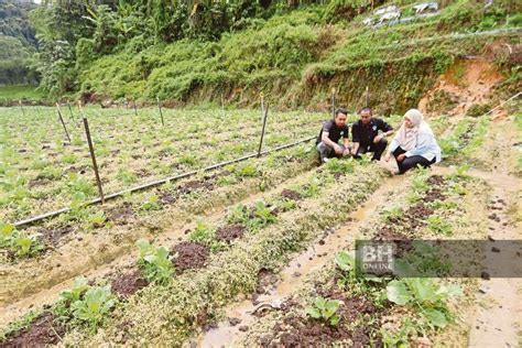 Jenis Pertanian Di Malaysia Bab Jenis Kegiatan Ekonom Vrogue Co