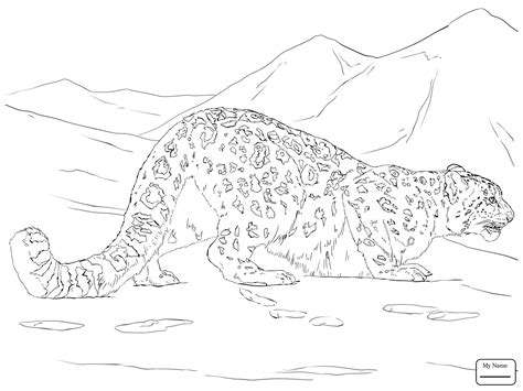 Download and print these animal, leopard coloring pages for free. Amur Leopard Coloring Pages at GetColorings.com | Free ...