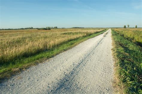 Gravel Road Through Wild Meadows Horizon And Blue Sky Stock Image