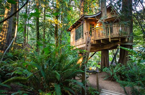 20 Best Treehouse Hotels In The World You Wish You Could Live In