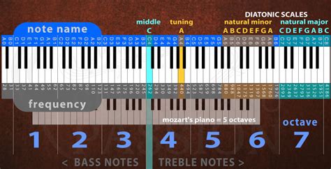 Piano Keys: Theory, History, and Secrets Unlocked • Grand Piano Passion™
