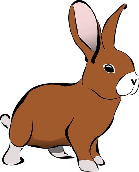 Brown Rabbit Clipart Free Download Transparent Png Creazilla