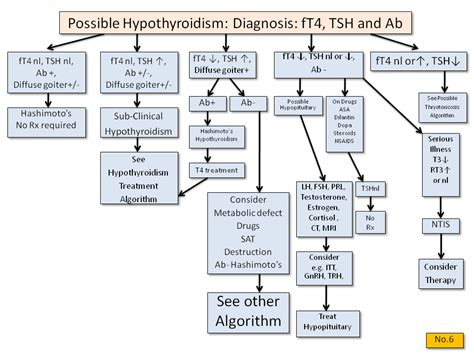 Possible Hypothyroidism Diagnosis Thyroid Disease Manager