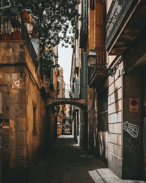 Top 5 Things To Do In The Gothic Quarter In Barcelona Discover Walks Blog