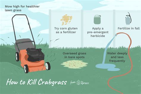 How To Kill Crabgrass