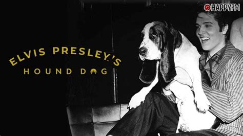 ‘hound Dog De Elvis Presley Letra En Español Historia Y Vídeo