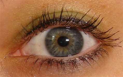 Rare Eye Color How Rare Of An Eye Color Is Grey Answerbag Rare