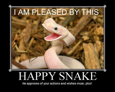 Bad Joke Snake Dangerous Animals Animals Deadly Animals
