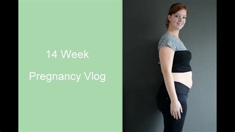 14 week pregnancy vlog belly shot youtube