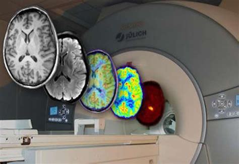 Looking Deeper Into Brain Function Neuroscience News
