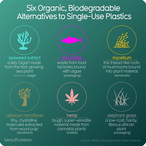Six Organic, Biodegradeable Alternatives to Single-Use Plastics ...