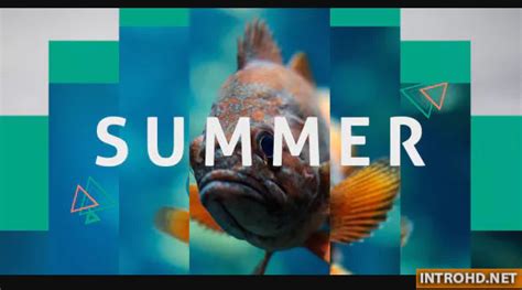 Videohive Summer Dynamic Opener Intro Hd