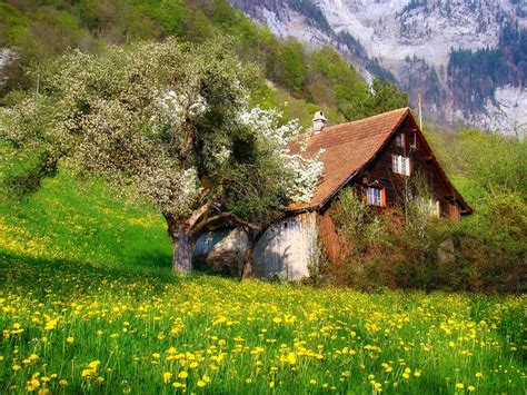 4534694 Tyrol Forest Village Landscape Valley Austria Alps