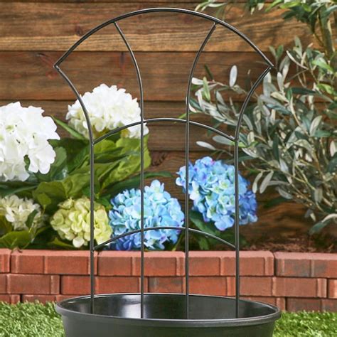 Style Selections 12 In W X 24 In H Black Garden Trellis In The Garden Trellises Department At