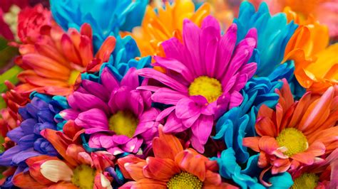 Colorful Flowers 4k Wallpapers Hd Wallpapers Id 28638