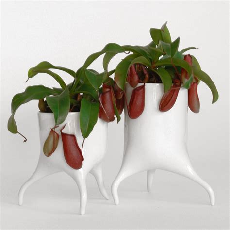 Plant Pot Design News Dezeen
