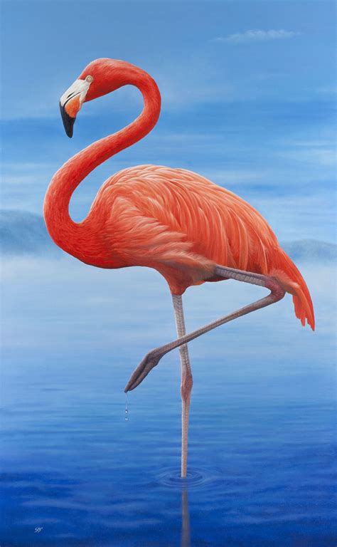 Flamingo Print Wall Art From My Original Oil Painting A2 Size 584 X