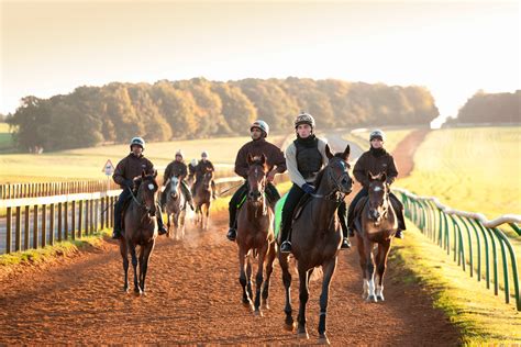 Stay At The Home Of Horse Racing Newmarket Racecourses Iceni Post