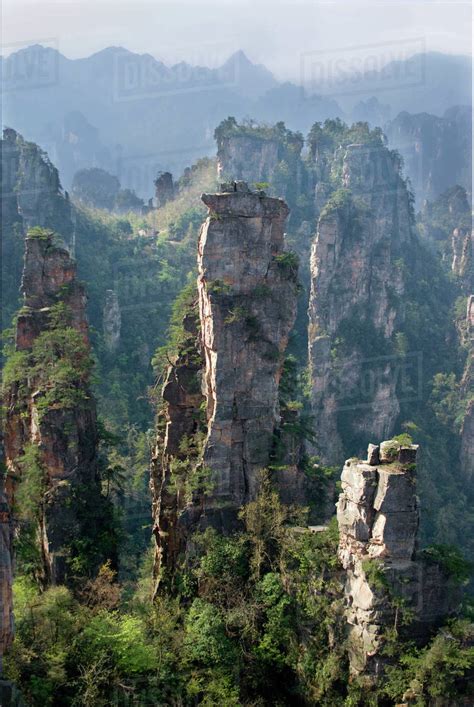Asia China Hunan Province Zhangjiajie National Forest Park Forested