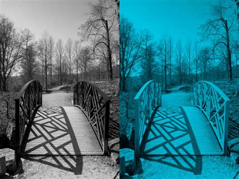 How To Edit Black And White Photography In Lightroom