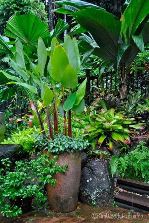 28 Refreshing Tropical Landscaping Ideas Small Tropical Gardens