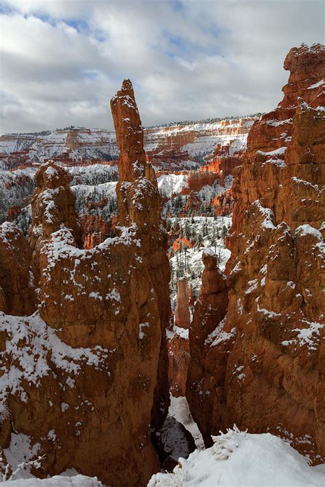 Fresh Snow Bryce Canyon National Park Utah Photograph By Bruce Beck
