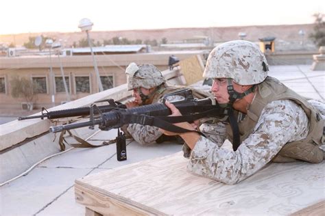 Dvids Images Mwcg 38 Marines Conduct Force Protection Training With