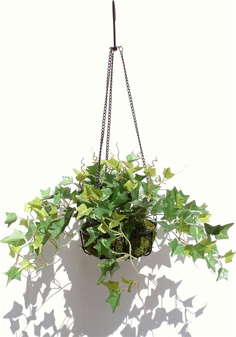 English Ivy In Hanging Ironware Basket Artificial Plant Home And Kitchen