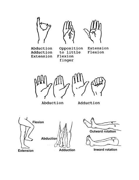 Figure 2 17 Range Of Motion Exercises For The Fingers Basic Patient