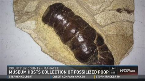 Manatee Museum Presents Largest Poop Collection