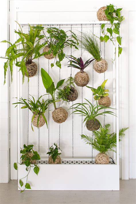 Kokedama Green Wall Plants Vertical Garden Indoor