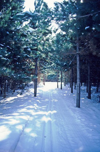 North Kettle Moraine Wi State Forest Cross Country Skiing Skiing