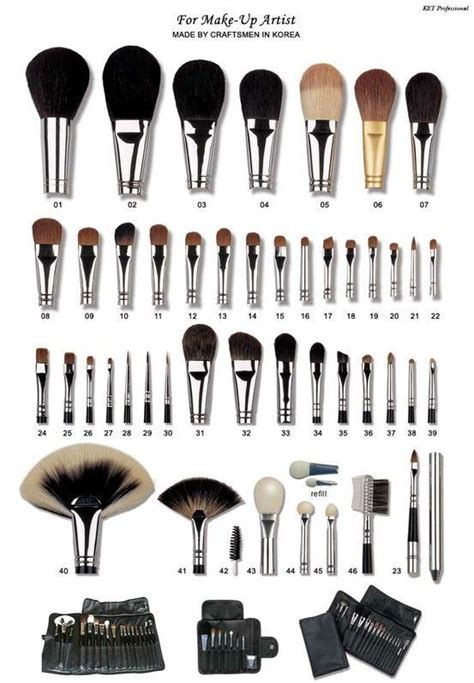 Basic Guide To Makeup Brushes Essential Makeup Brushes Makeup Brush