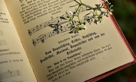 libro cancionero antiguo romántico tono páginas papel música impresión de libros