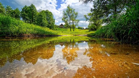Wallpaper Landscape Nature Reflection River Pond Stream Wetland